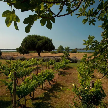 E Terre Di Sacra Villa Capalbio