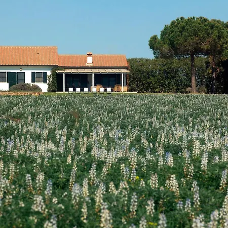 Villa E Terre Di Sacra Capalbio